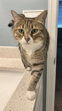 Mabel - Photo 5