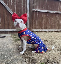 Wiggles - Photo 10