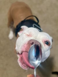 Wiggles - Photo 3