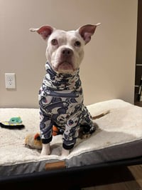Wiggles - Photo 19