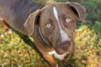 Eeyore - Photo 2