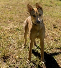 Lilly - Photo 1
