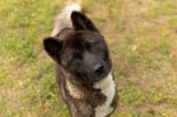 Paolo - Photo 3
