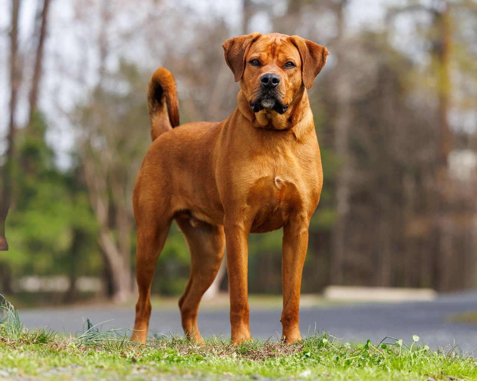 GONE FISHING - Unknown available for adoption