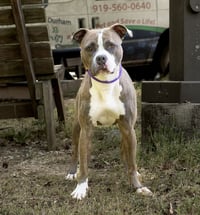 Tina - Photo 2