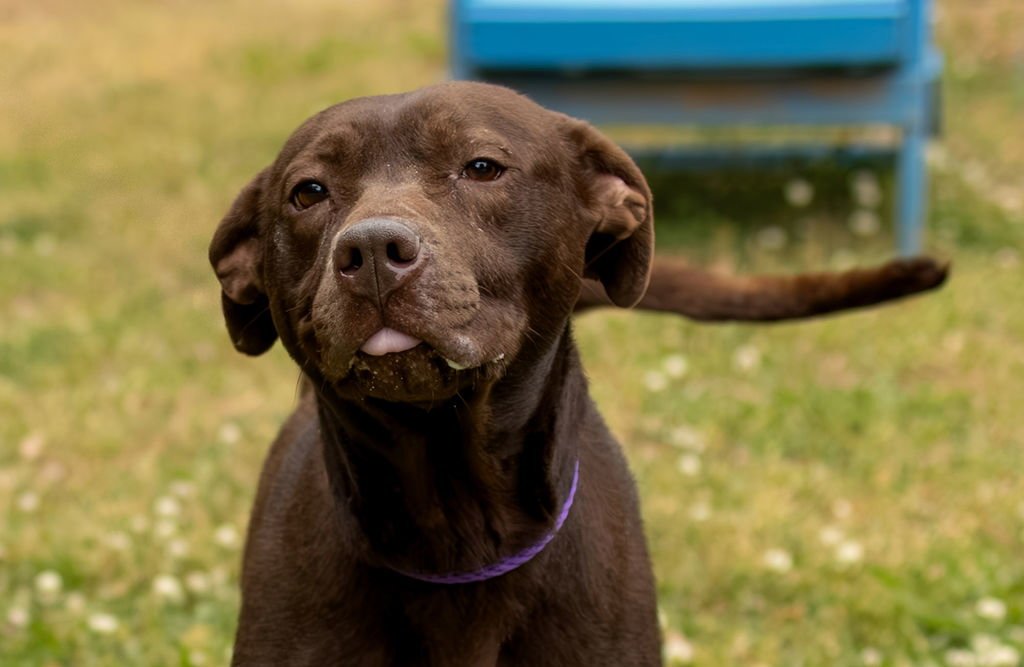 Safe Harbor Image