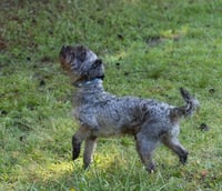 George - Photo 3