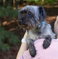 George - Photo 4