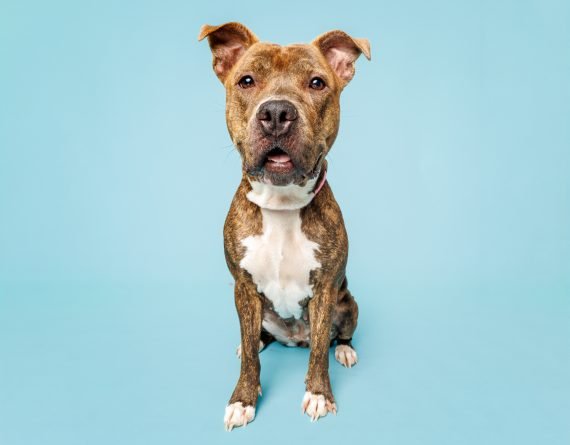 Maggie Image