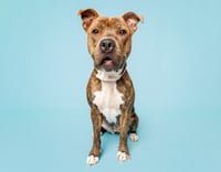 Maggie - Photo 1