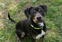 Owen - Photo 3