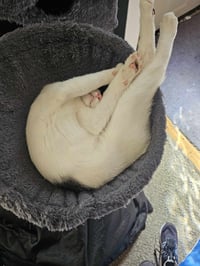 A TootyTa - Photo 6
