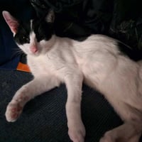 A TootyTa - Photo 3