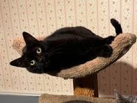 Sasha - Photo 6