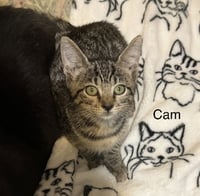 Cam - Photo 1
