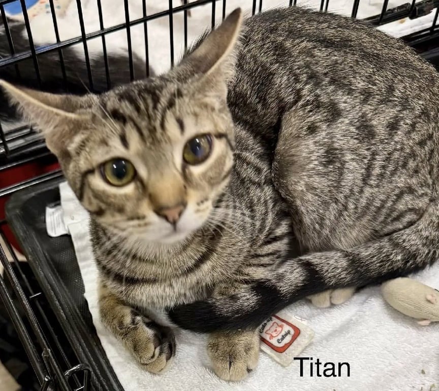 Titan Image