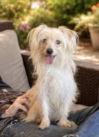 Bonita - Photo 2