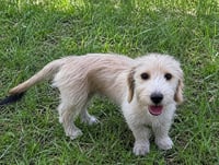 Nini - Photo 1