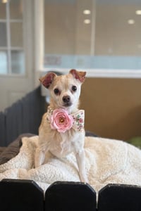Ethel - Photo 1