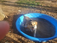 Astrid - Photo 3