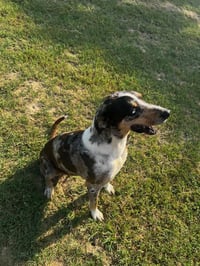 Shirley - Photo 3