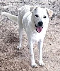 Max - Photo 1