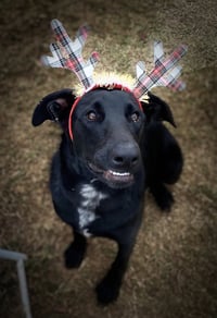 Sammy - Photo 3