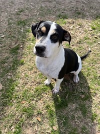 Maggie - Photo 1