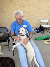 Ruger - Photo 3