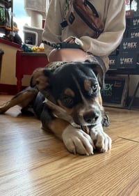 Swiper - Photo 3