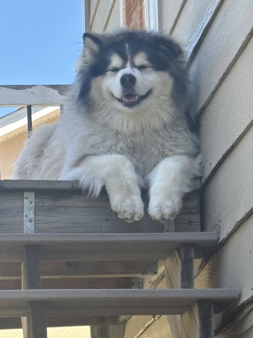 SITKA