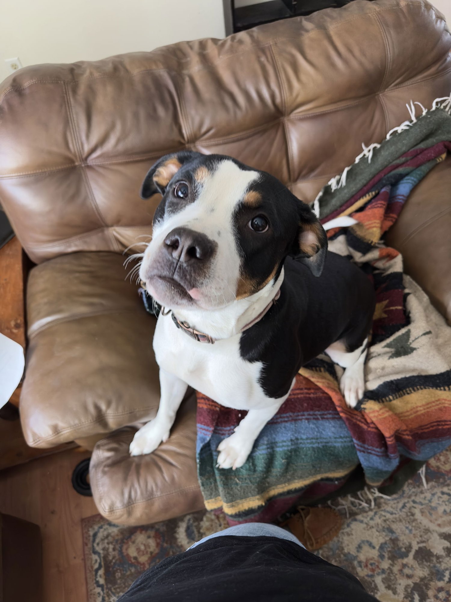 Luna Belle - Photo 3