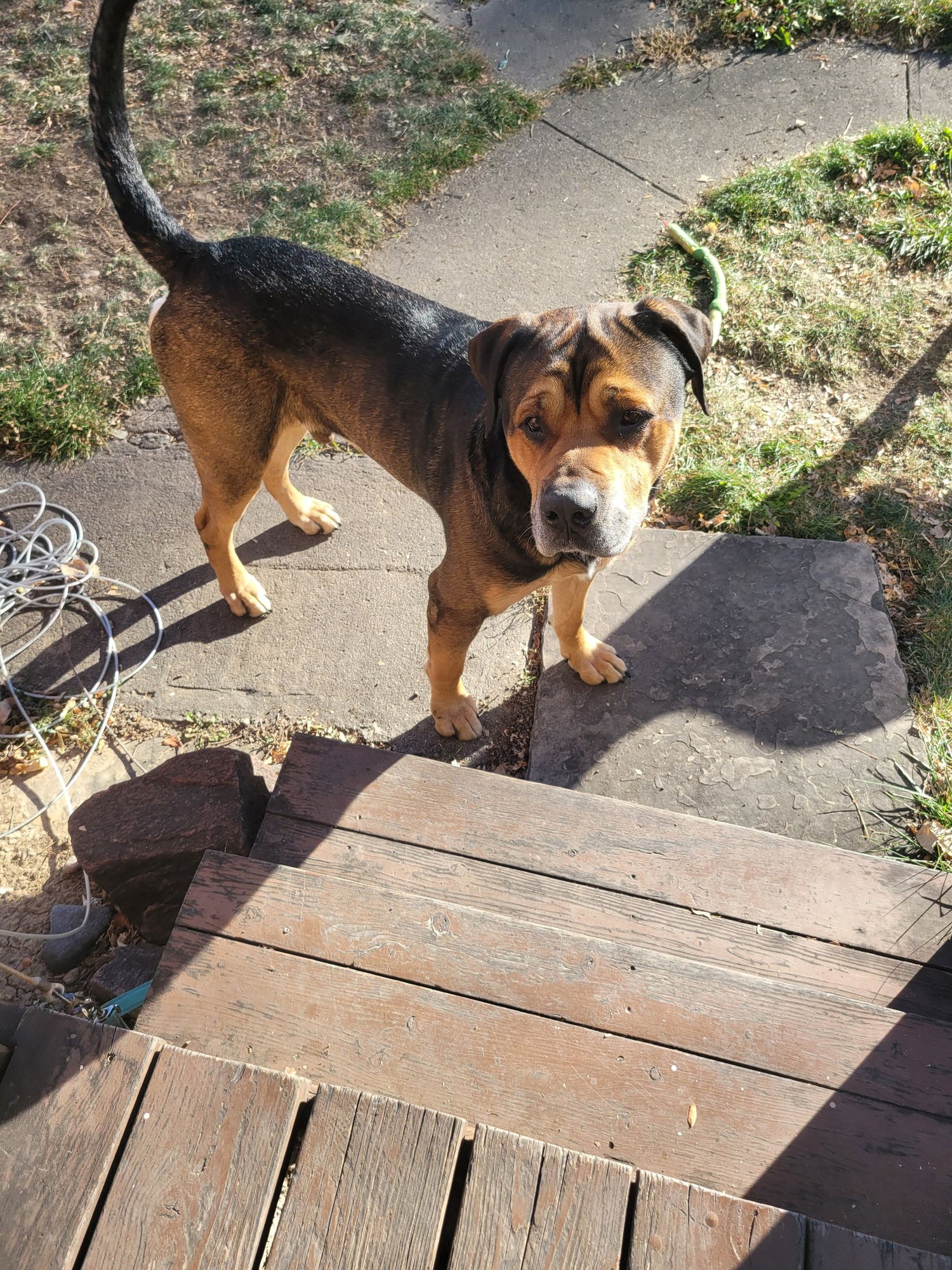 Zeus - Photo 3