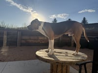 Zion - Photo 3
