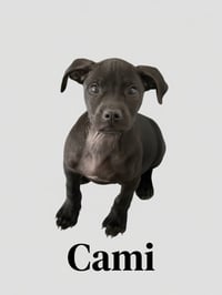 Cami - Photo 1