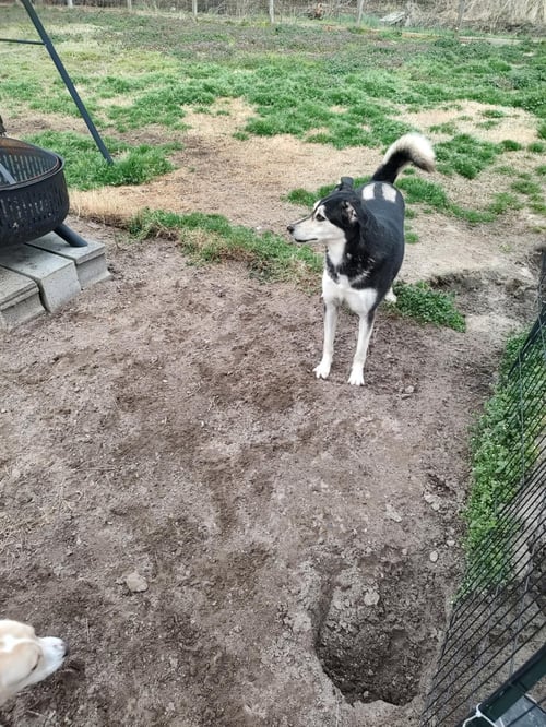 LUNA