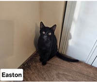 Easton.     ML - Photo 1