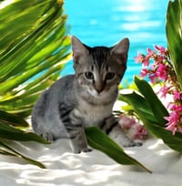 KennyG - Kit 1yr - Photo 1