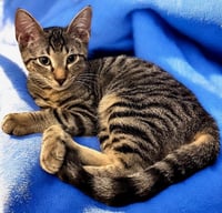 KennyG - Kit 1yr - Photo 3
