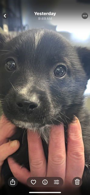 MAUI.320   CFV - Photo 3