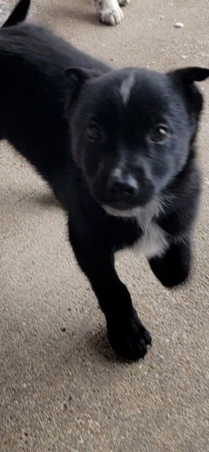 MAUI.320   CFV - Photo 4