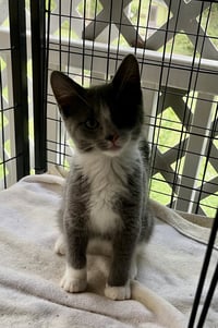 Micah - Photo 3