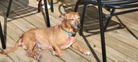 Frederick - Photo 4