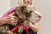 Jasper - Photo 7