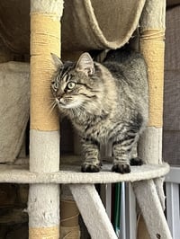 Esther - Photo 2