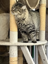 Esther - Photo 1