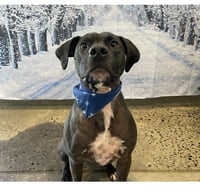 Max - Photo 3
