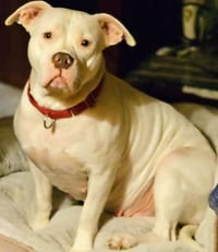 Baby - Photo 2
