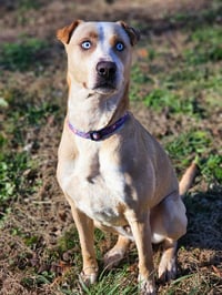 Spencer - Photo 2