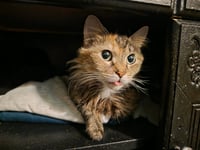 Edith - Photo 2